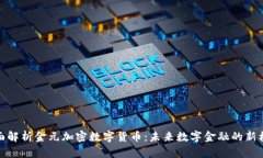 全面解析金元加密数字货币：未来数字金融的新