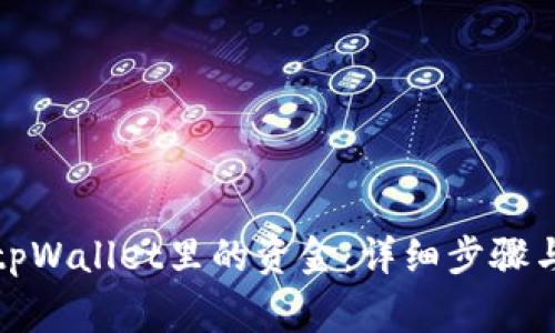 如何清理tpWallet里的资金：详细步骤与注意事项