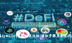 如何在tpWallet中添加月河链：详细步骤与常见问题