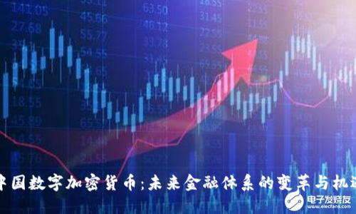中国数字加密货币：未来金融体系的变革与机遇