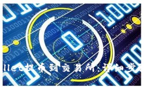 如何从tpWallet提币到交易所：详细步骤与注意事项