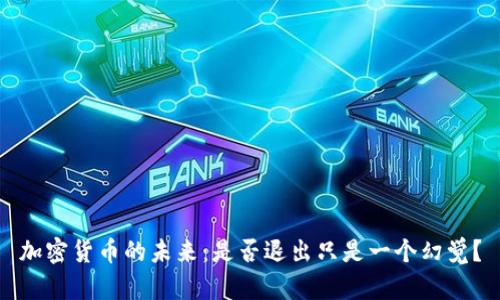加密货币的未来：是否退出只是一个幻觉？