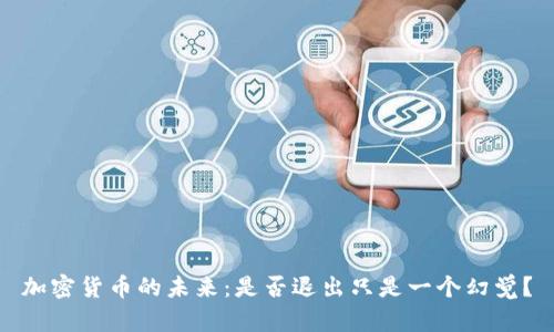 加密货币的未来：是否退出只是一个幻觉？