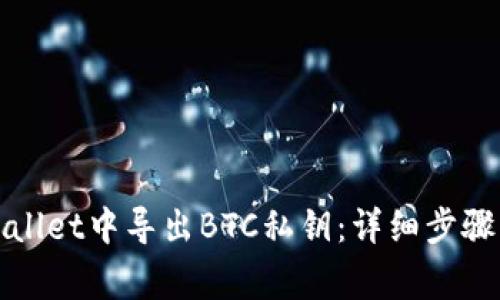 如何在tpWallet中导出BTC私钥：详细步骤与注意事项