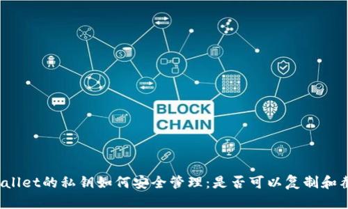 tpWallet的私钥如何安全管理：是否可以复制和截图？