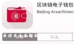 加密数字货币项目全面解析：投资机遇与风险的