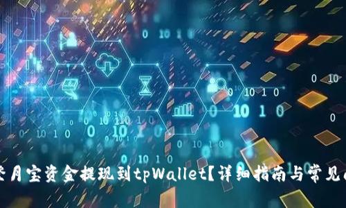 如何将登月宝资金提现到tpWallet？详细指南与常见问题解答