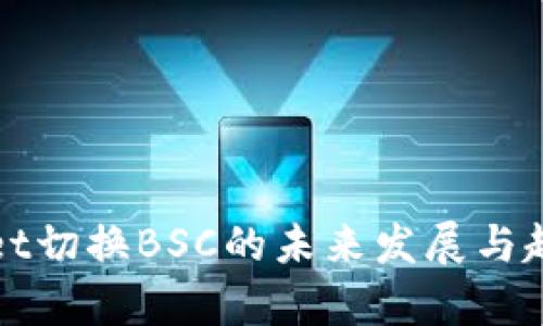 tpWallet切换BSC的未来发展与趋势分析