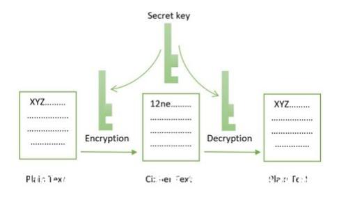tpWallet国际版的未来发展趋势与市场前景分析