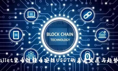 TPWallet货币链转币安链USDT的未来发展与趋势分析