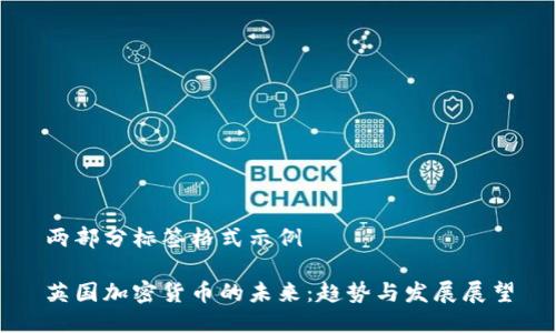 两部分标签格式示例

英国加密货币的未来：趋势与发展展望