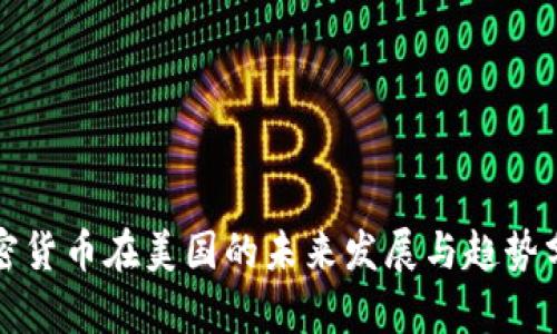 加密货币在美国的未来发展与趋势分析