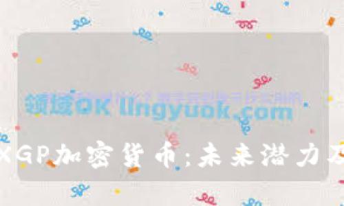 深入解析XGP加密货币：未来潜力及投资前景