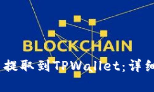 如何将Big币提取到TPWallet：详细步骤与攻略