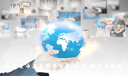 加密货币未来前景分析：趋势、挑战与机遇