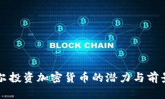 卡塔尔投资加密货币的潜力与前景分析