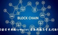 如何安装中本聪tpWallet：全面指南与常见问题解答