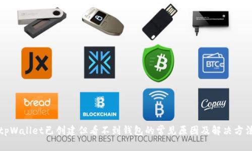 tpWallet已创建但看不到钱包的常见原因及解决方法