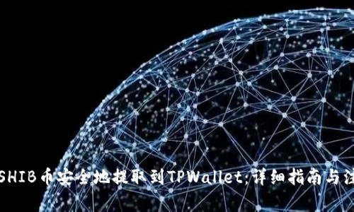 如何将SHIB币安全地提取到TPWallet：详细指南与注意事项