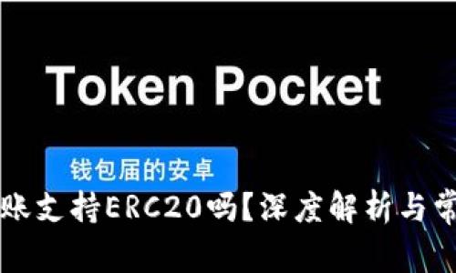 tpWallet转账支持ERC20吗？深度解析与常见问题解答